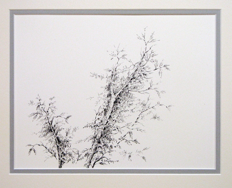 Nature Study 3, 8x10.5 inches, graphite pencil, 2014.jpg